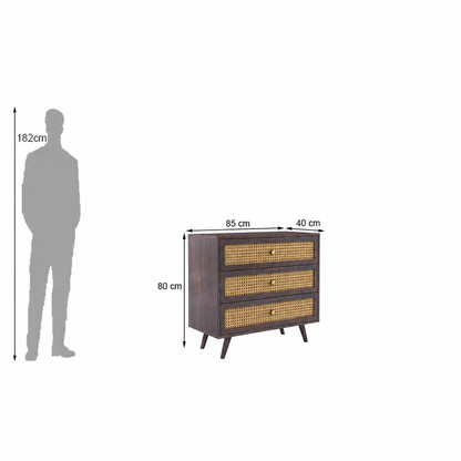 Cane Panel Solid Sheesham Wood Chest of Drawers  3 Drawer Storage